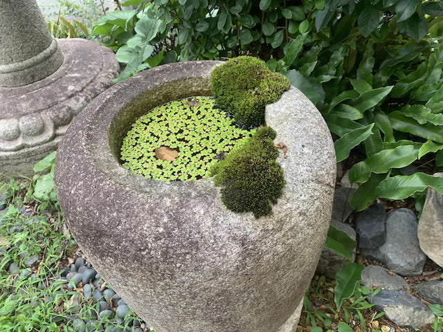 三州石製の棗型手水鉢