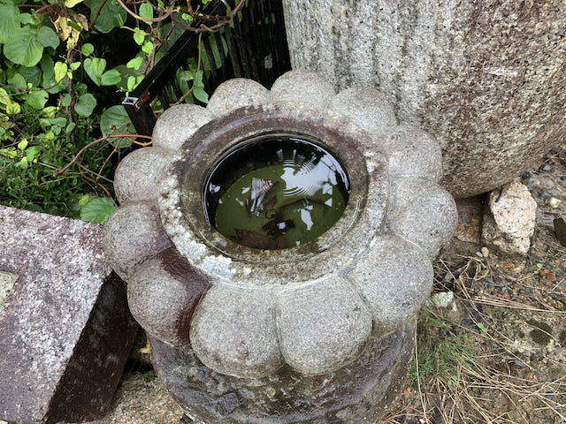 菊型の手水鉢