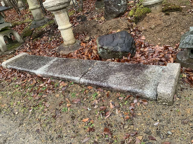 玄関の古い踏込石