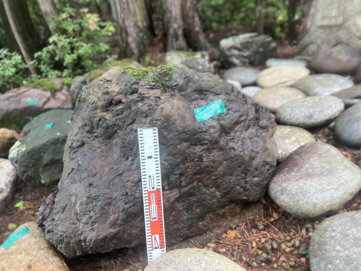 小さな紫貴船石