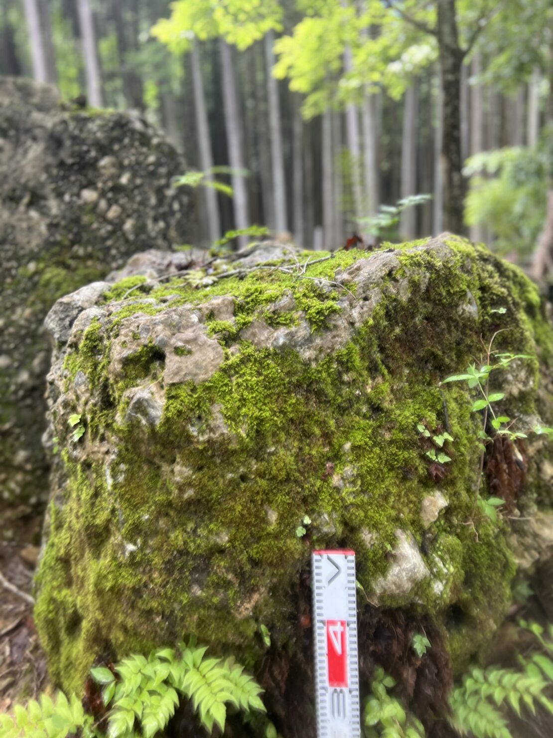 さざれ石