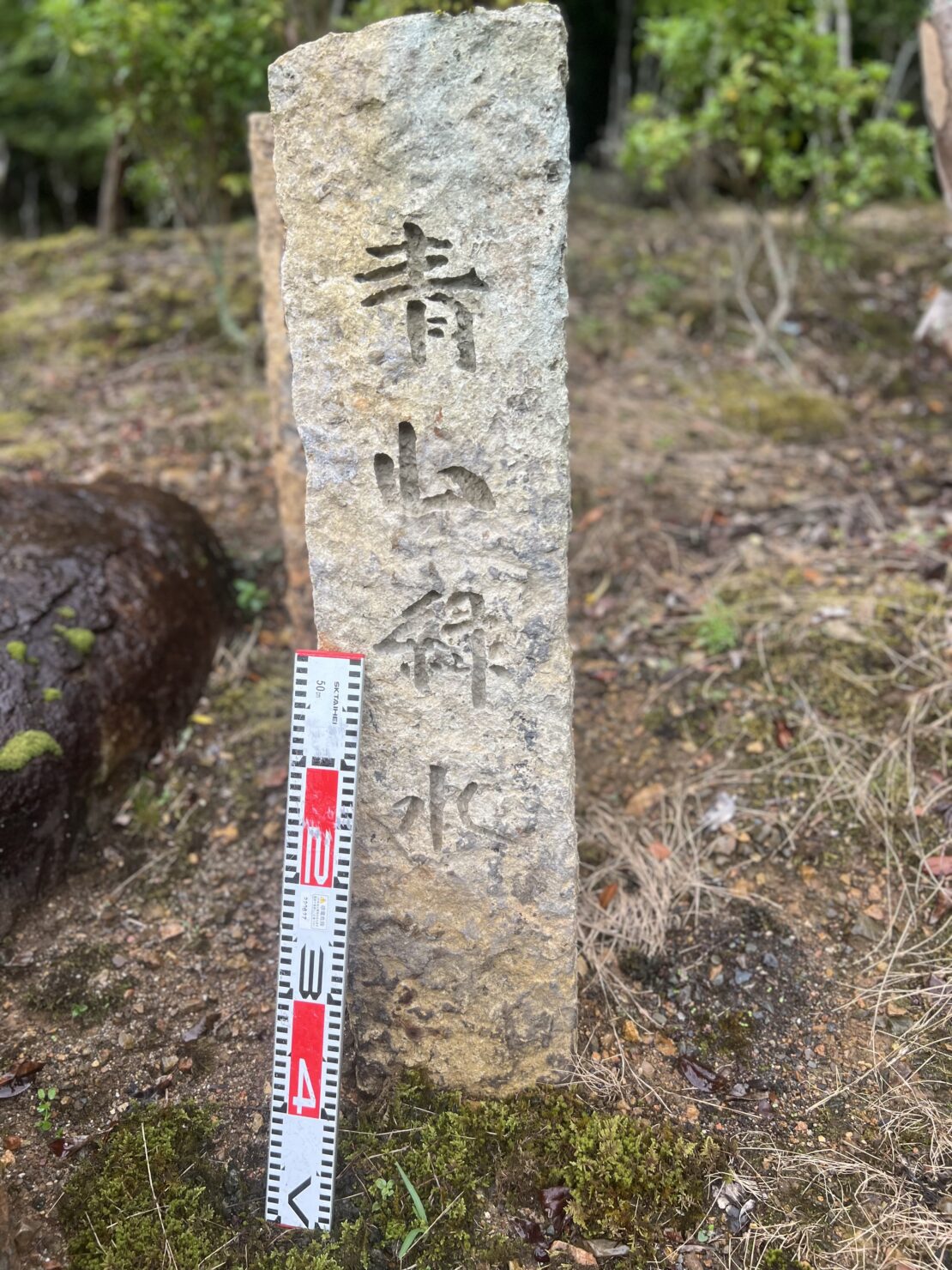 宝殿龍山石の石碑