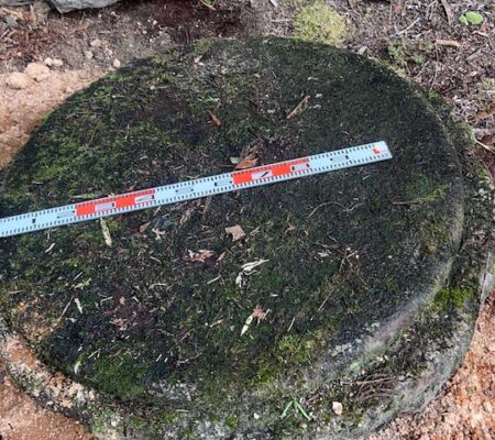 特大の庭伽藍石
