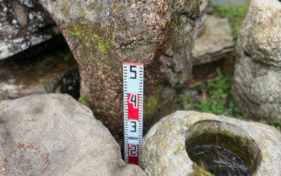 太閤石の手水鉢