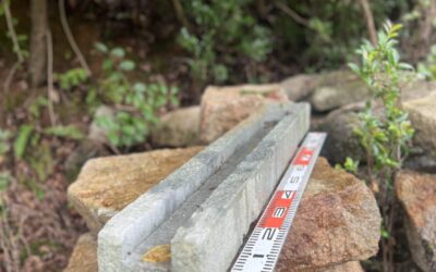 宝殿龍山石の樋石