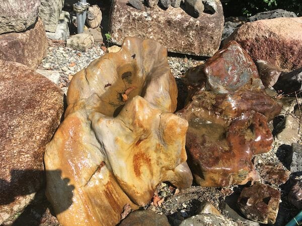 木化石の水掘れ石