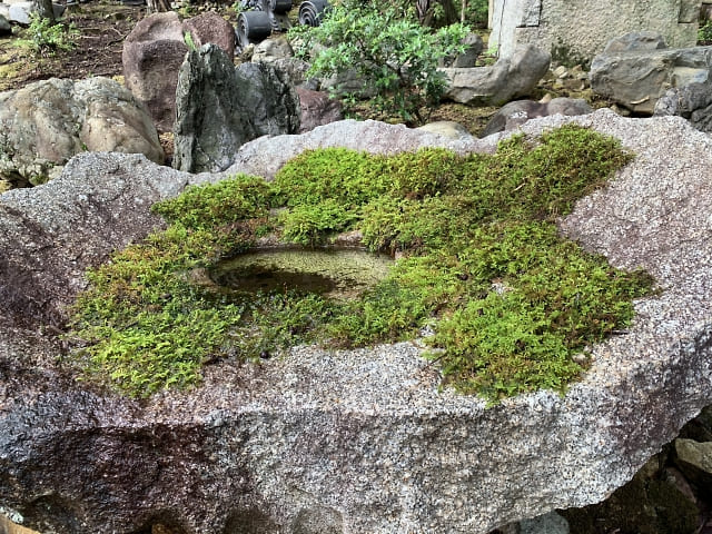 古丹波石の水鉢