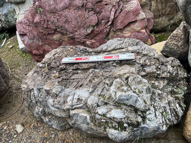 揖斐川石の景石