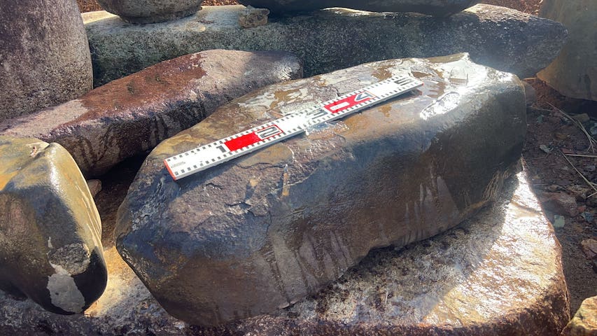 青鞍馬石の沓脱石