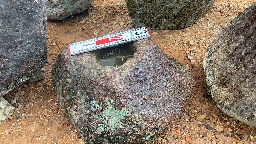 太閤石の手水鉢