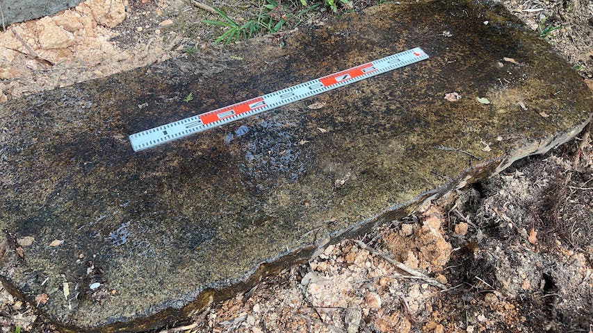 大判の丹波鞍馬石の踏み込み石