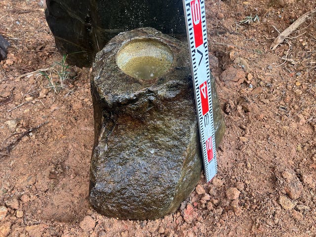 癖のある本鞍馬の水鉢