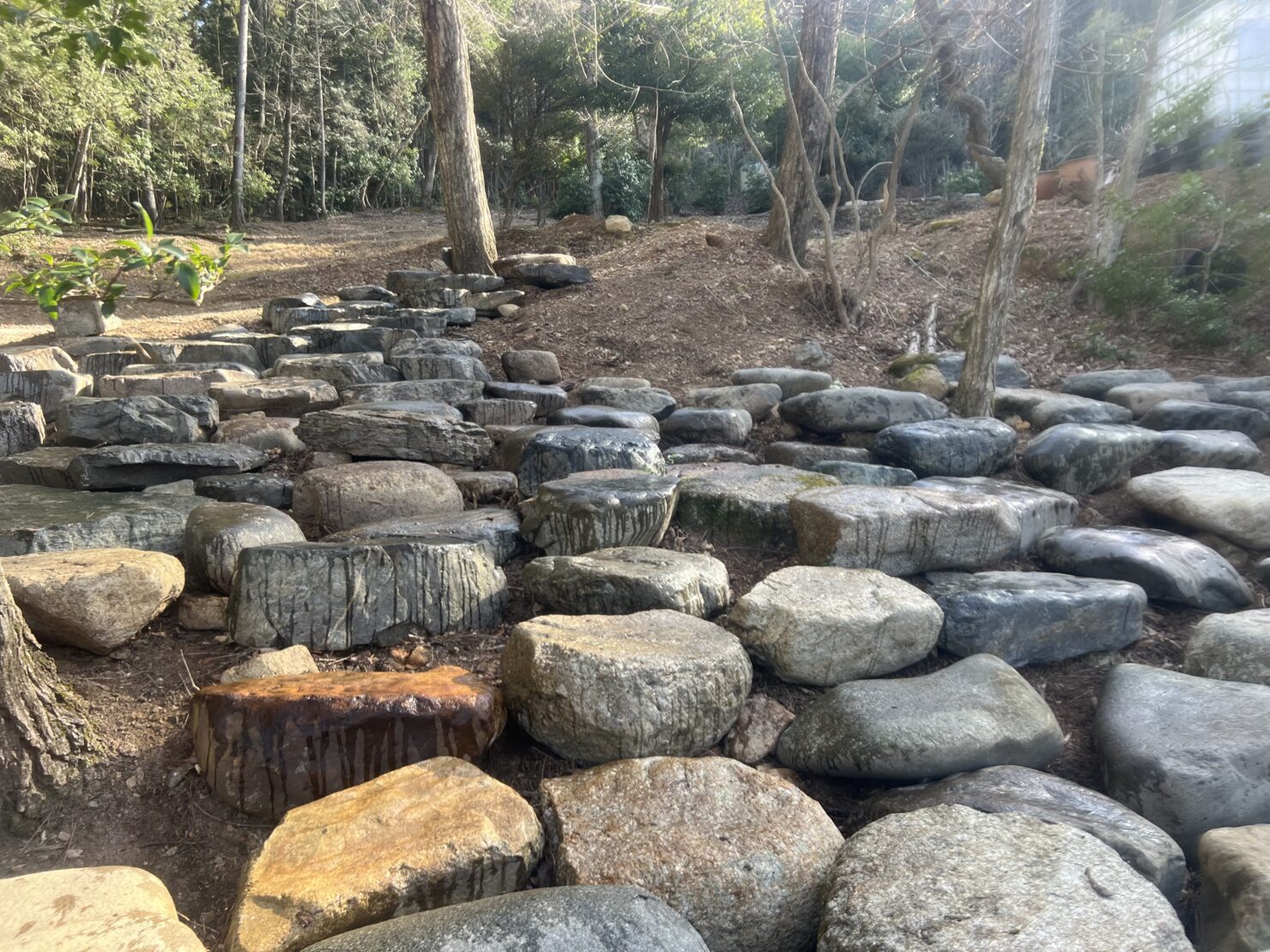 川飛び石