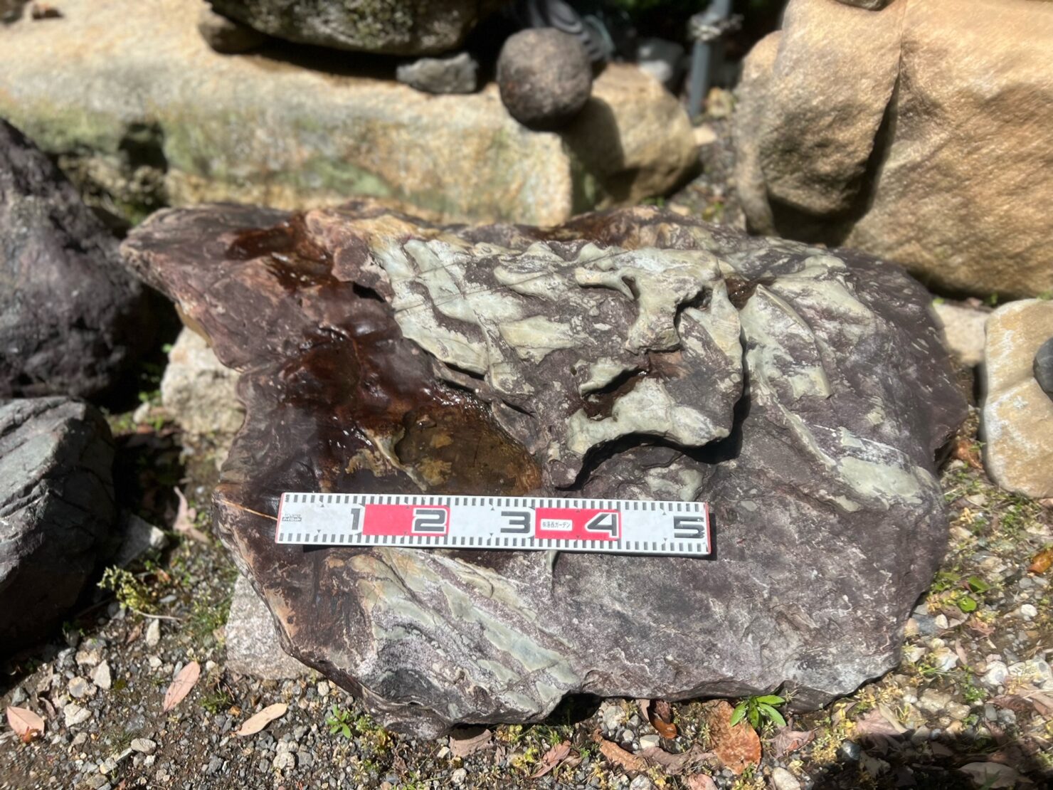 西パダンの景石