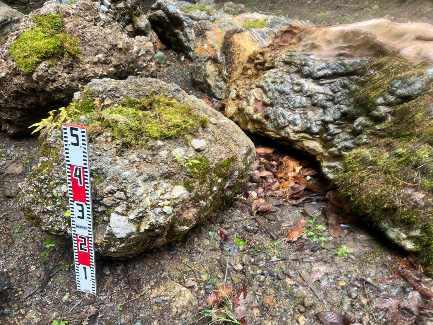 小さな日本国歌のさざれ石