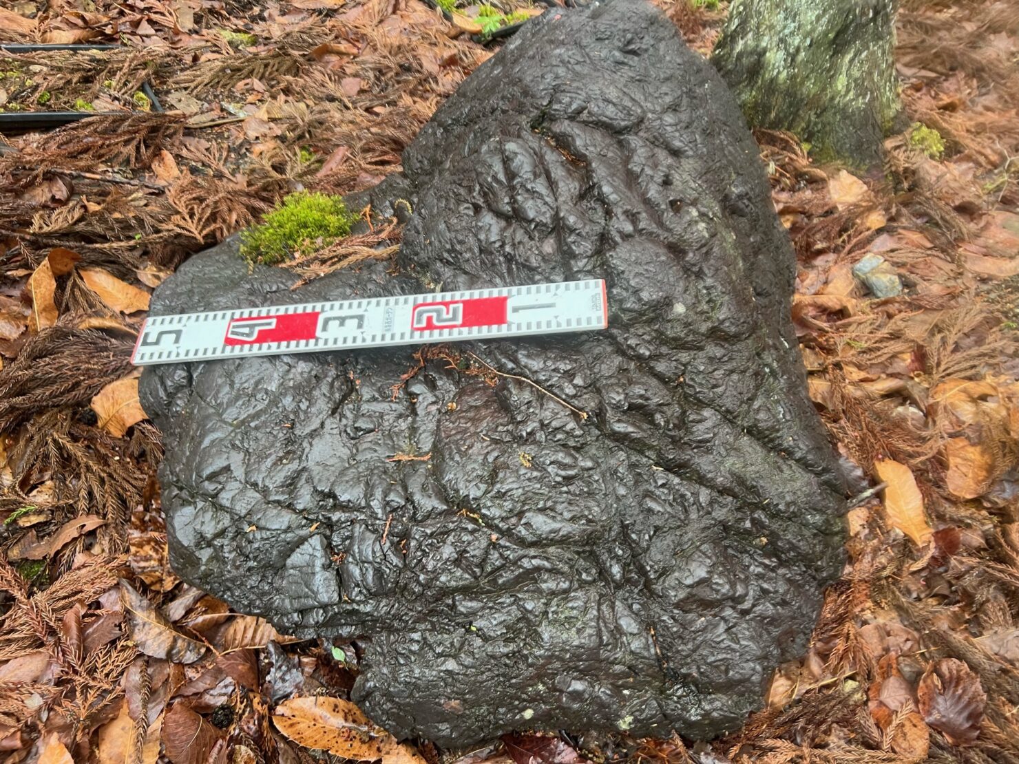 加茂七石の貴船石