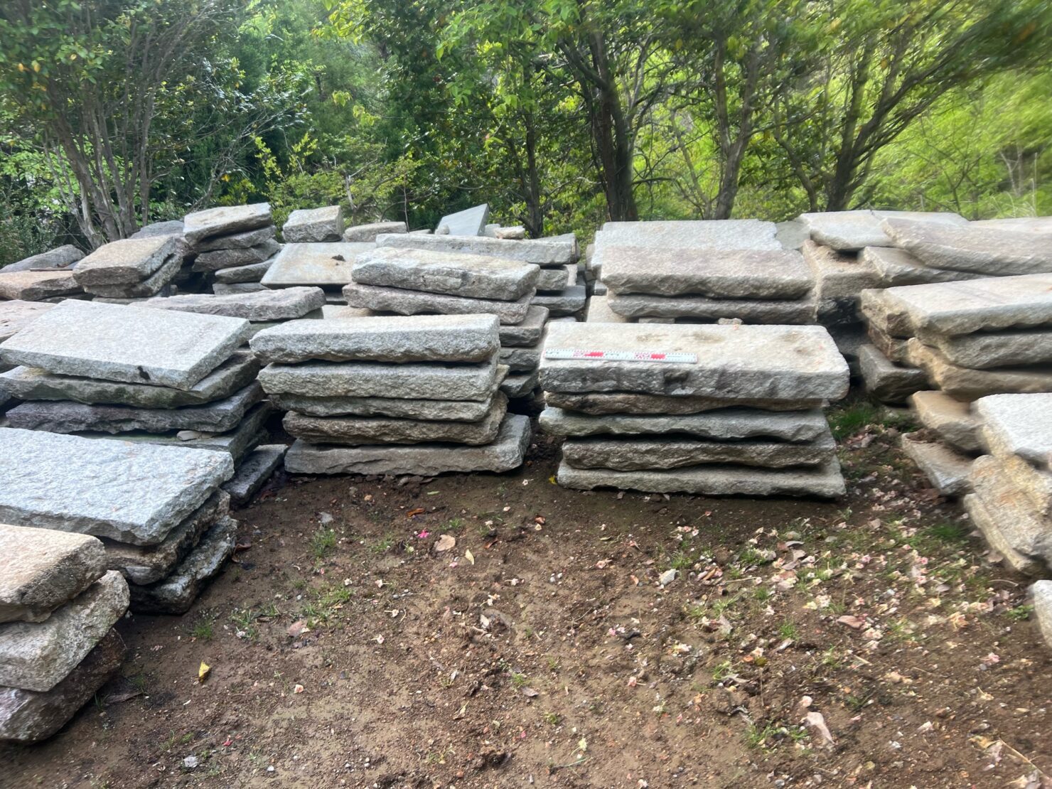 大判の板石