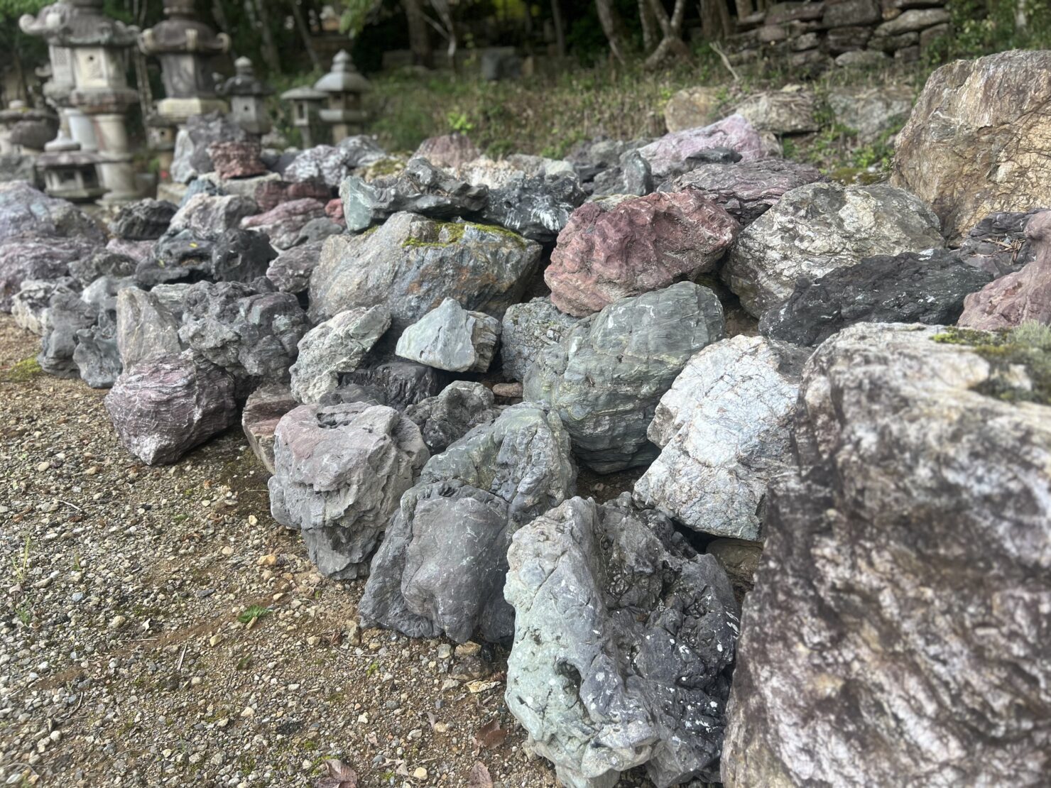 小さな椎葉石の景石