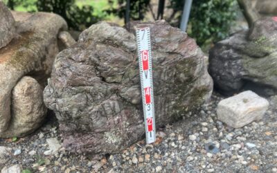 貴船石二段石　景石 貴船石二段石 景石 貴船石は「2億年」の大先輩！？ :