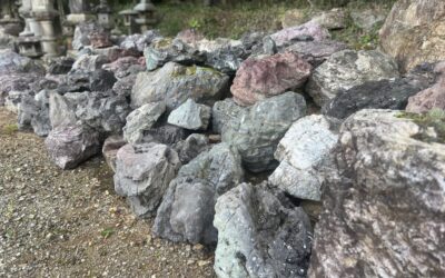 小さな椎葉石の景石