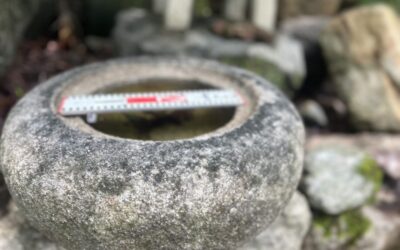 小さな手水鉢 小さな手水鉢