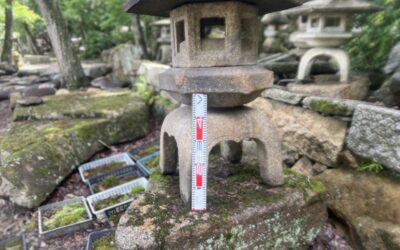 雪見型灯籠 雪見型灯籠