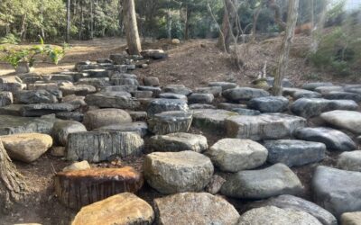 川飛び石