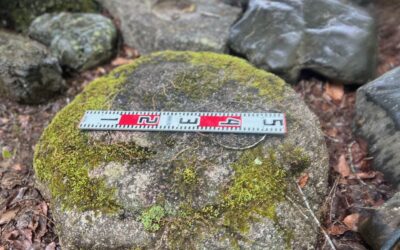 役石 | 古材市庭