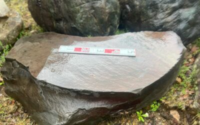 役石 | 古材市庭