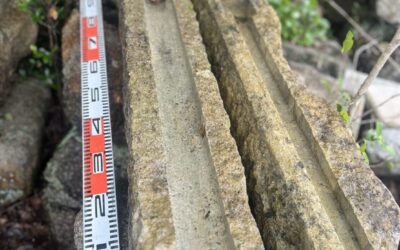 宝殿龍山石の樋石